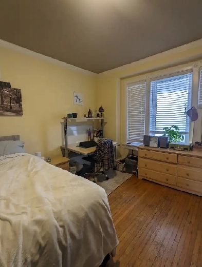 Student Room for Rent Image# 5