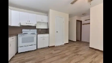 Massive Large basement Room with Private Washroom-MALE-August,1 Image# 1