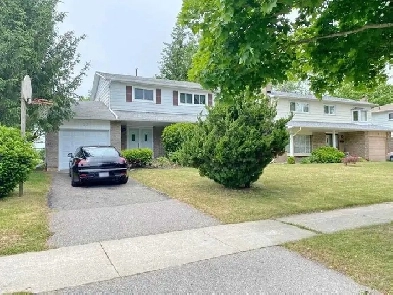 Two rooms of a single detached house - $760/Month each room Image# 1