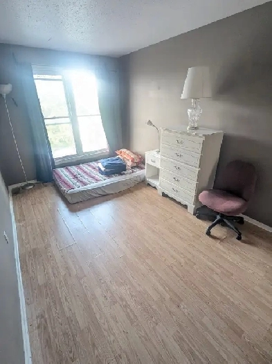 Two large room available at Woodroffe/ Majestic. Move in Today! Image# 3