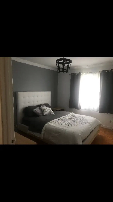 Chambre à louer (parfait pour travailleur) Image# 5