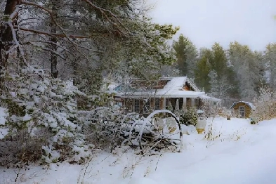 Cozy Log Home (plus 2nd house) in Pine Forest close to Lakes Image# 6