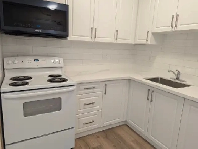 Fully Upgraded 2 brm Apt- Cosburn Ave/Pape Ave Image# 1