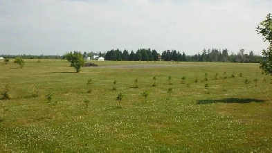 Rare 1.4 Acre Level Lot on Air Park with Driveway in place. Image# 8