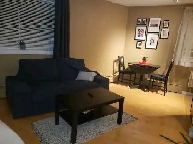 Beautiful Fully Furnished Studio Apartment for Rent Image# 4