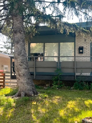 Private Room for Rent in Calgary SW Image# 2