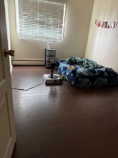 ROOM RENTAL in quiet 2 bedroom apartment Image# 6