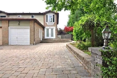 One bedroom for rent in markham Image# 2