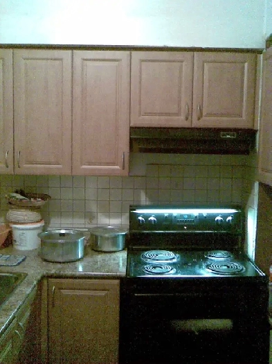 One Bedroom Apartment, steps to Subway Image# 1