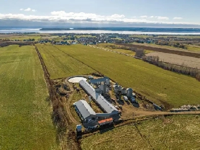 St-Joachim près de Québec, 3.75 acres bâtiments agricoles Image# 3