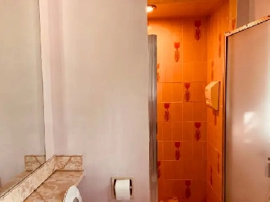 EdgemontNW upstairs master ensuite private bathroom incl utility Image# 7