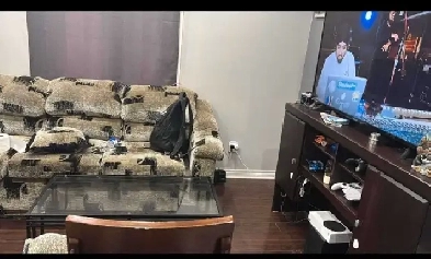 Room for rent  in brampton downtown Image# 1