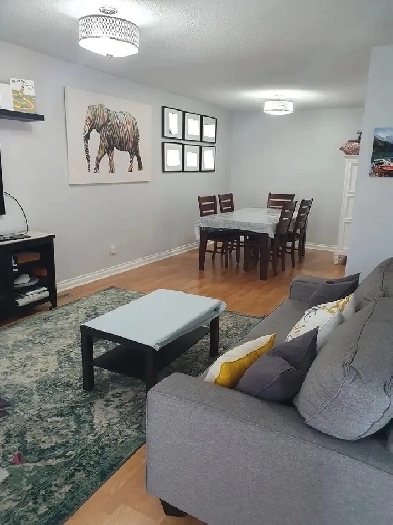 Gorgeous 1 room for rent! Image# 4