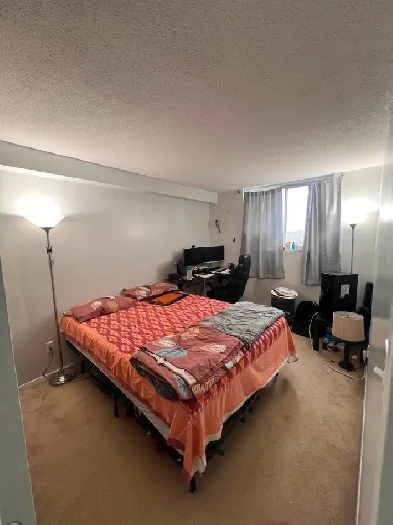 1 Bedroom 1 Bathroom Apartment for Rent Image# 3