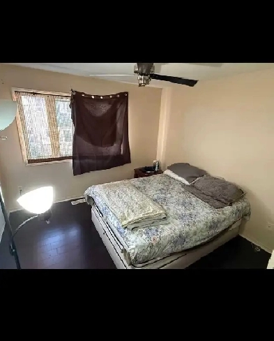 single room available for rent Image# 4