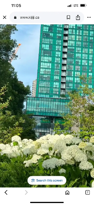 Shared Accommodation Image# 1