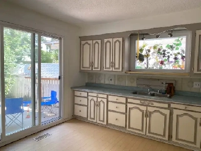 Pet friendly 2 bedroom main floor own laundry fenced yard bus Image# 10