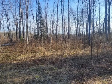 LAND FOR SALE, 44 POPLAR ROAD, MATTAWA ONTARIO Image# 4