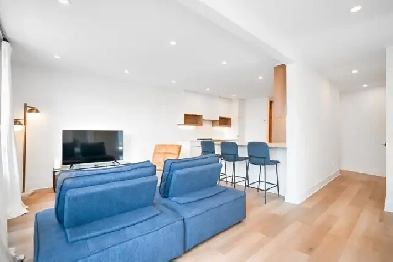 Mile End 4 1/2 Apartment For Rent Image# 2