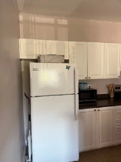 One Bedroom Condo for Rent September 1/2025 Image# 3