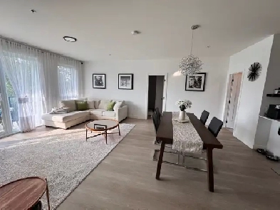 2 beds 1 bath - Apartment for rent Image# 4