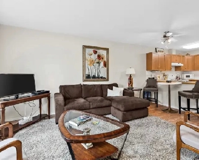 Newly painted 1 Bdrm  in 55  building with numerous amenities Image# 8