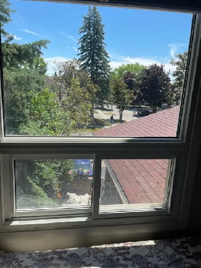 Private clean and cozy room for 1 male at Midland and Finch Image# 2