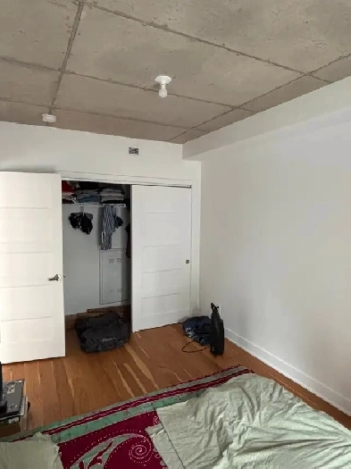 Looking for Student Roommate/ Colocatrice Recherchée Image# 3