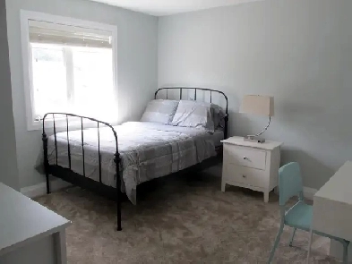 Beautiful Bedroom Rental (Walk from UofA and LRT) Image# 1