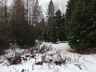 Terrain à Nominingue Image# 1