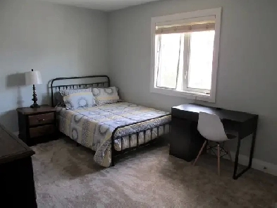 Beautiful Bedroom Rental (Walk from UofA and LRT) Image# 4