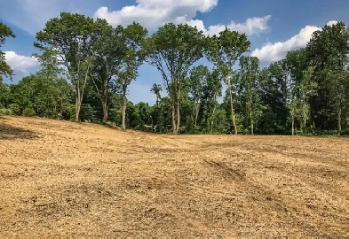 WANTED: VACANT LAND ANY ACREAGE WITHIN 15 MINUTE DRIVE OF CITY Image# 1