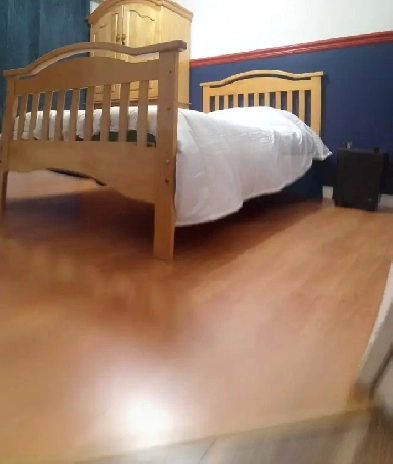 $500 / Mois Studio  Tout Inclus avec Chambre / Salle de Bain Image# 10