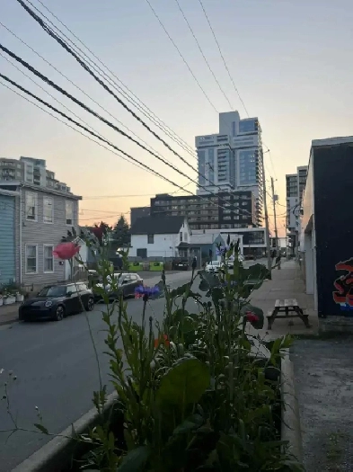 Duplex, 3 1 bedroom, 1.5 bath on Halifax peninsula Image# 1