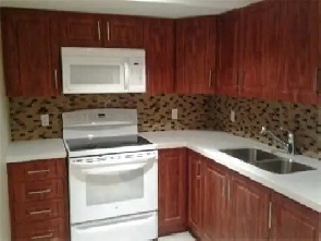 Modern 1-Bedroom Basement Unit – Prime East York Location Image# 4