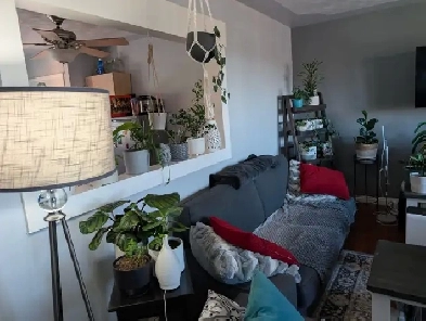 Looking for a great roommate for Mid August or September Image# 3