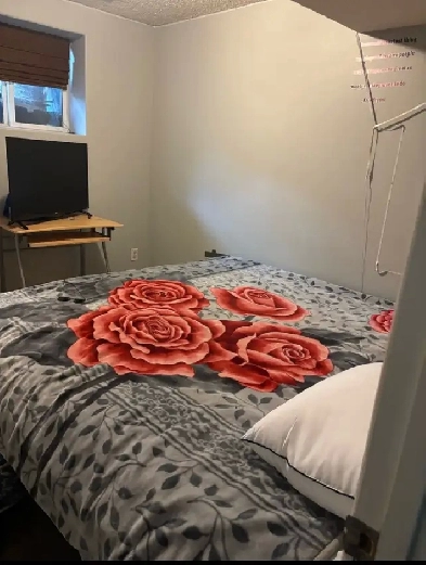 Room available for rent Image# 1