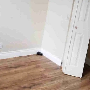 one bedroom basement  01 September Image# 4