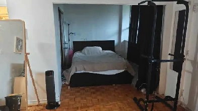 Bachelor Apartment Sublet in the Annex near UofT Image# 1