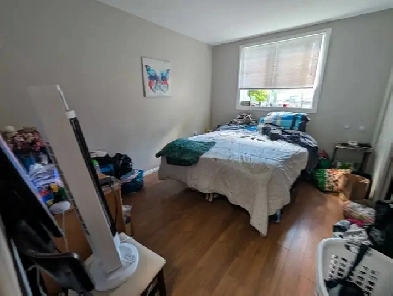 Room for Rent McQueen Urgent move in August 1st Image# 1