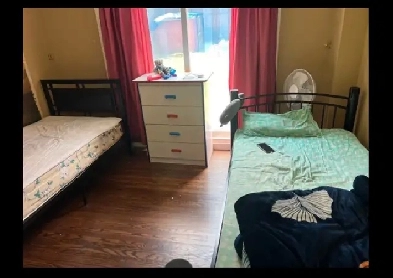 1 Sharing Room in ground floor for One  girl space 01 Aug Image# 3