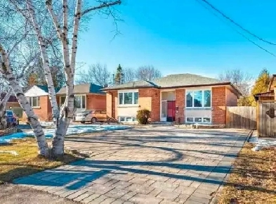 Richmond Hill Bsmt 2Bed 1Bath W/Parking Image# 7