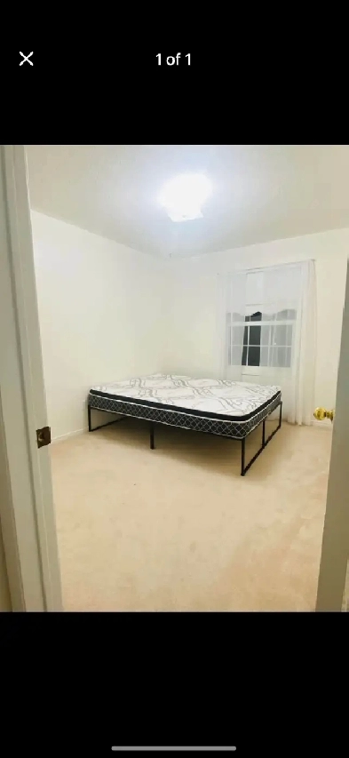 One bedroom for rent for girls Image# 1