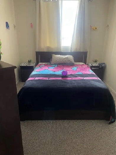 Shared room in clean high rise apartment building Image# 3