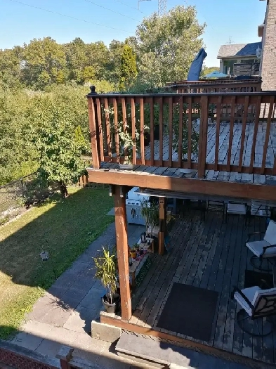 1 BD walk-out basement apt for rent Sept. 1st 2025 Image# 1