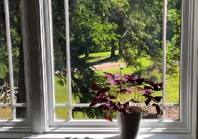 Millidgeville, Large 2/3-bedroom rental (all utilities included) Image# 4