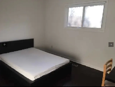 Room for rent near finch/ don mills Image# 1