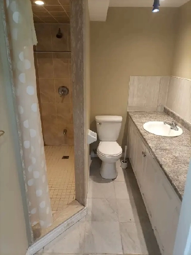 Basement studio for rent Image# 4