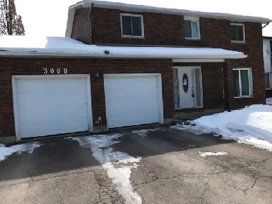 Rooms For Rent Close to Carleton U, One Bus to uOttawa Image# 4