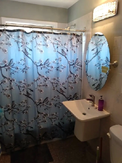 Room for rent near Algonquin College Image# 1